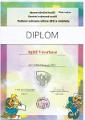 diplom 1